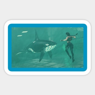 Tomb Raider 3 - orcas Sticker